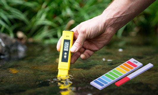 ph level and how can we measure it 