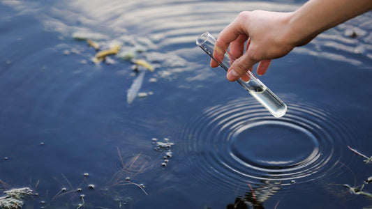 The Significance of Water Quality in Daily Life