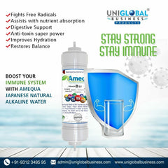 Amequa Alkaline Water Filter