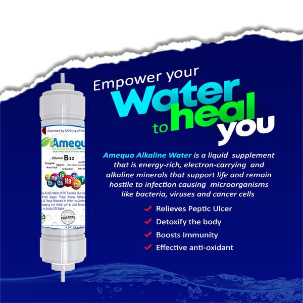 Amequa Alkaline Water Filter