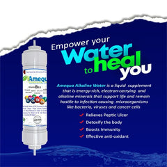 Amequa Alkaline Water Filter