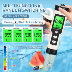Digital hydrogen meter